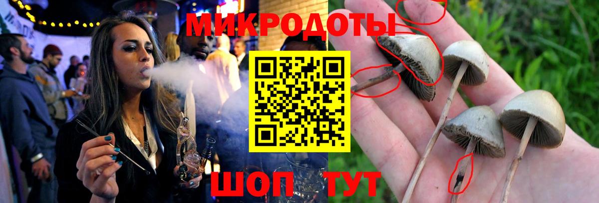 Галлюциногенные грибы прущие грибы Майский